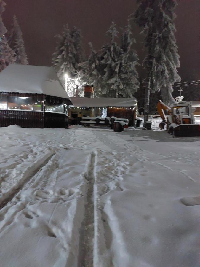 Pensiunea Aurora Vârtop Buitenkant foto