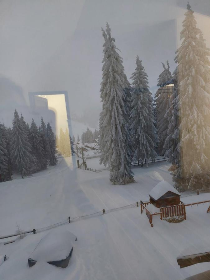 Pensiunea Aurora Vârtop Buitenkant foto