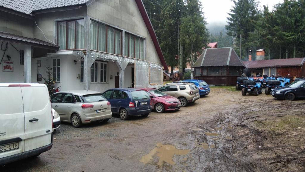 Pensiunea Aurora Vârtop Buitenkant foto